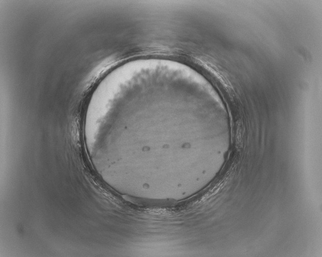 X0000115441455200912020935