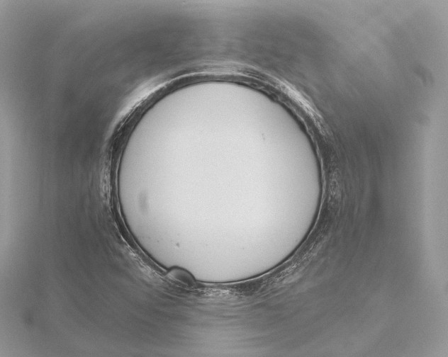 X0000115441456200912020935