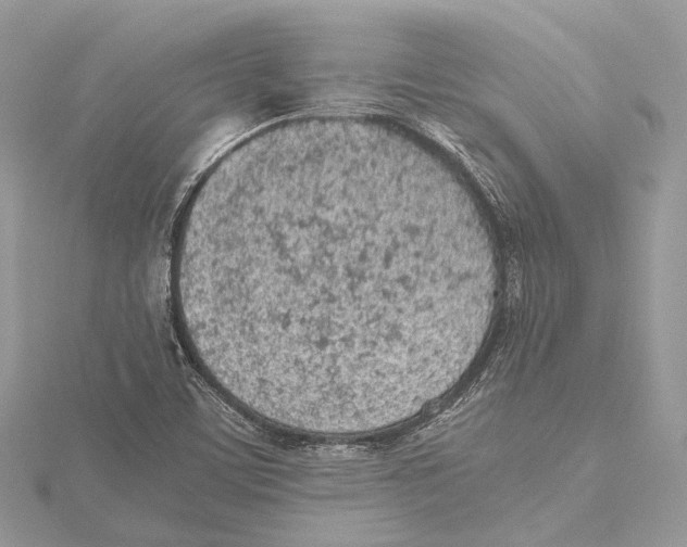 X0000115441459200912020935