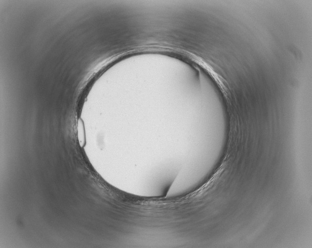 X0000115441461200912020935