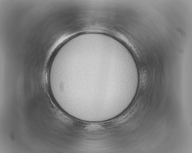 X0000115441462200912020935