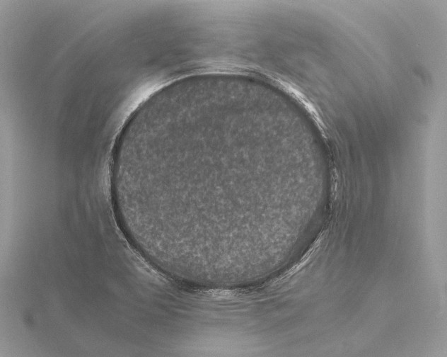 X0000115441463200912020935