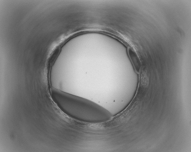 X0000115441464200912020935