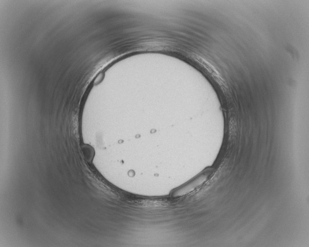 X0000115441465200912020935