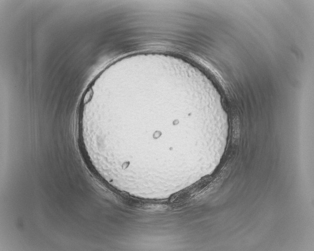 X0000115441467200912020935