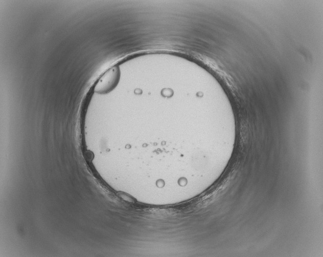 X0000115441469200912020935