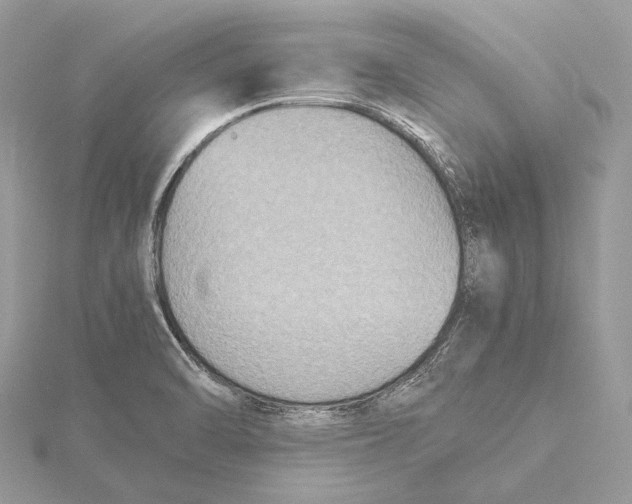 X0000115441470200912020935