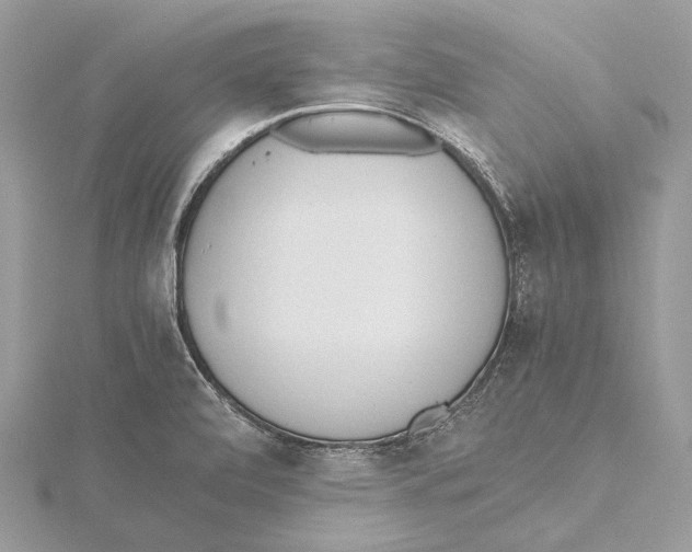 X0000115441472200912020935