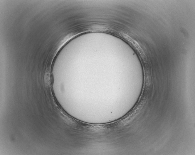 X0000115441473200912020935