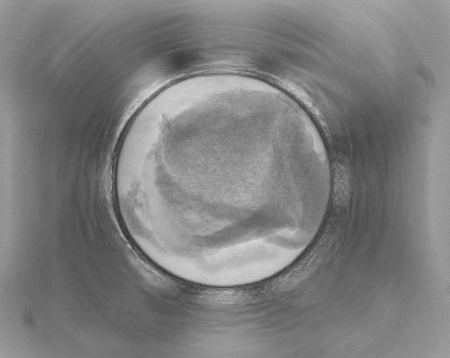 X0000115441474200912020935