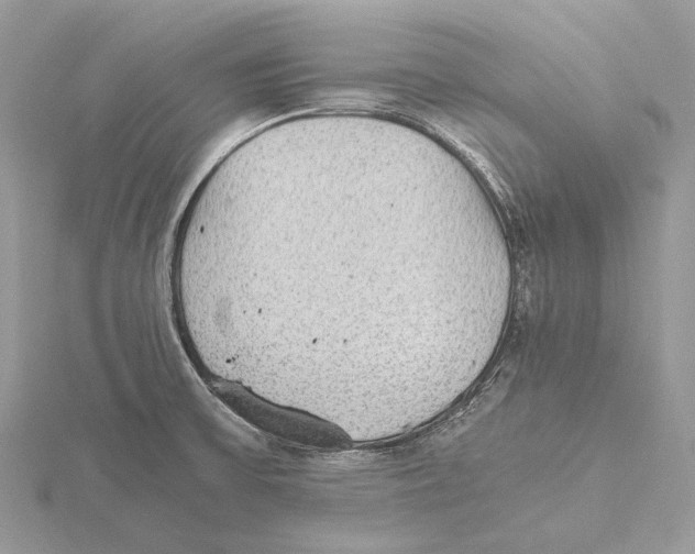 X0000115441475200912020935