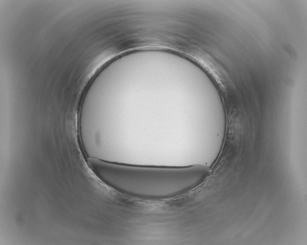 X0000115441476200912020935