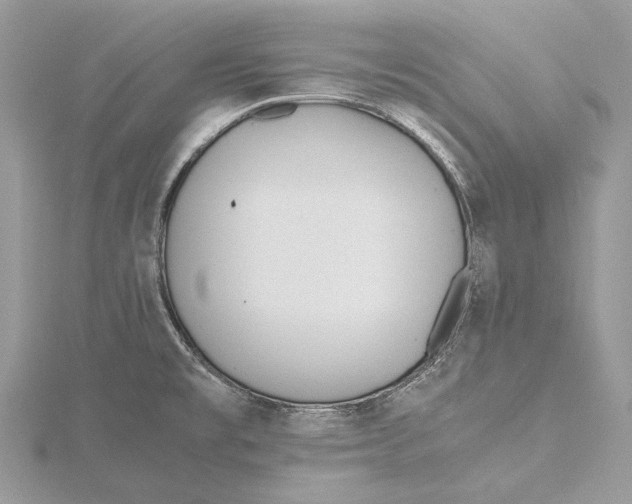 X0000115441477200912020935