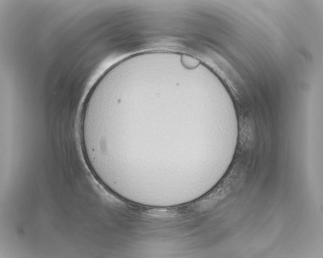 X0000115441478200912020935