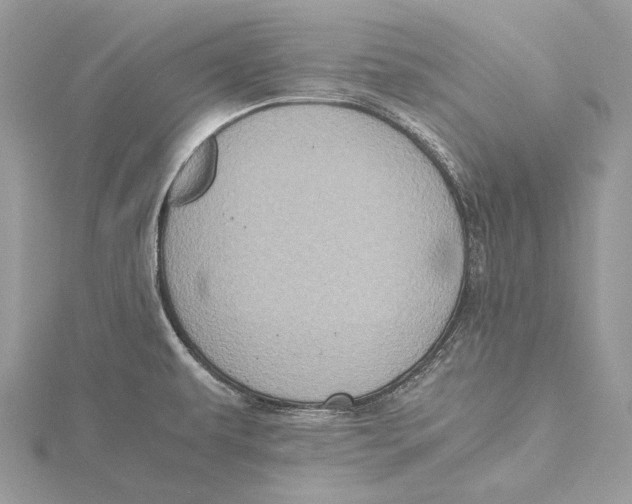 X0000115441479200912020935