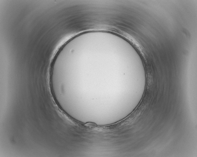 X0000115441480200912020935