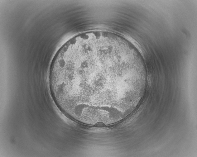 X0000115441482200912020935