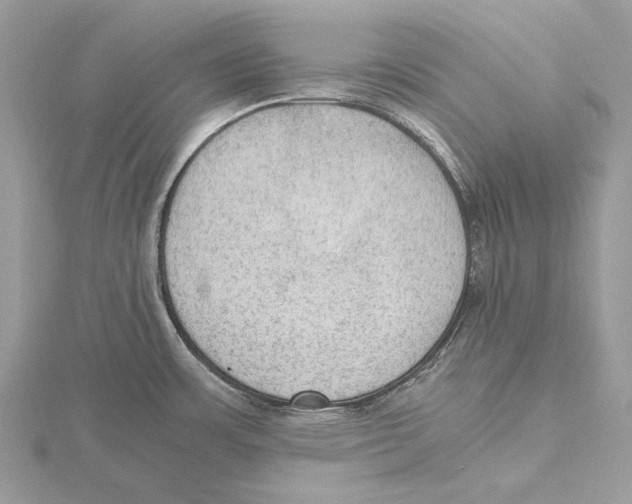 X0000115441483200912020935