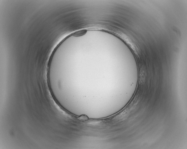 X0000115441484200912020935