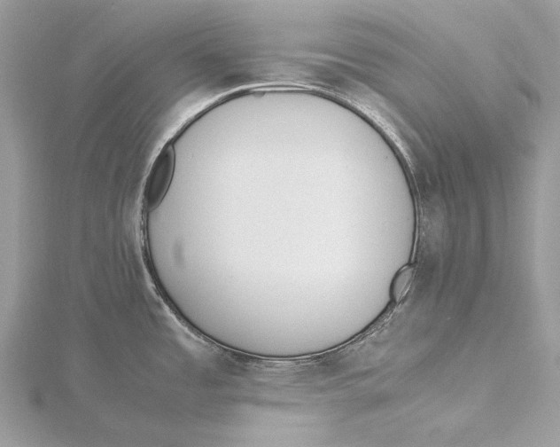 X0000115441485200912020935