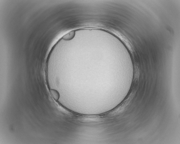 X0000115441486200912020934