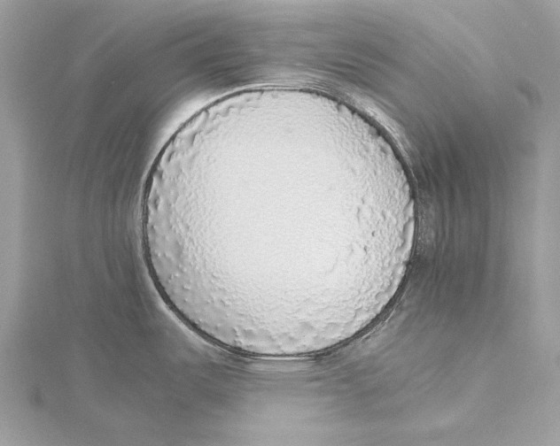 X0000115441487200912020934