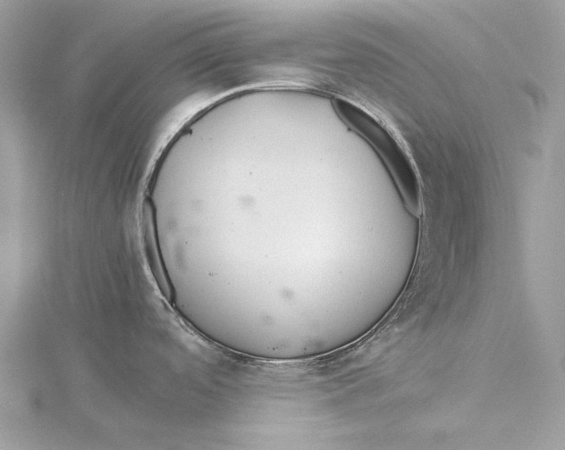 X0000115441488200912020934