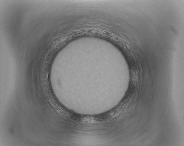 X0000115441489200912020934