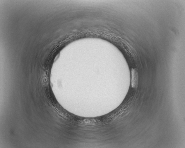 X0000115441491200912020934