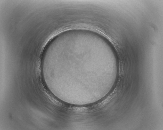 X0000115441498200912020934