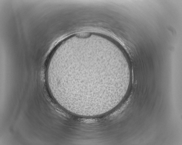 X0000115441501200912020934