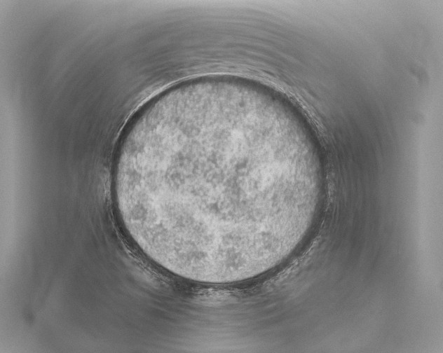 X0000115441505200912020934