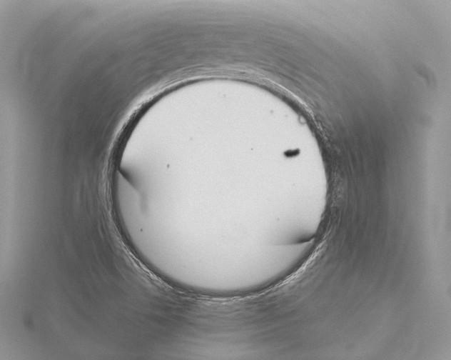 X0000115441506200912020934