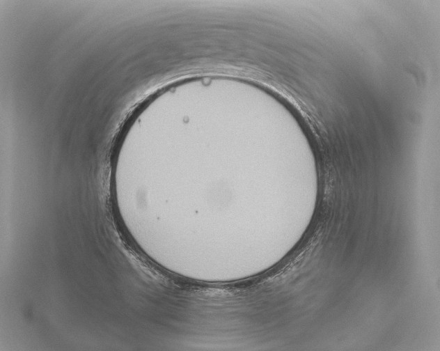 X0000115441507200912020934