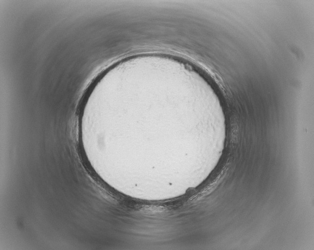 X0000115441509200912020934