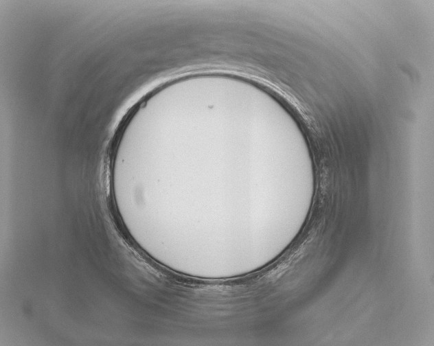 X0000115441510200912020934