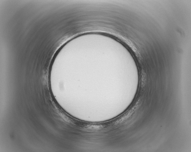 X0000115441513200912020934