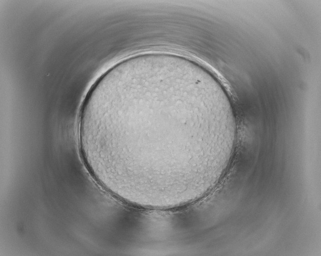 X0000115441514200912020934