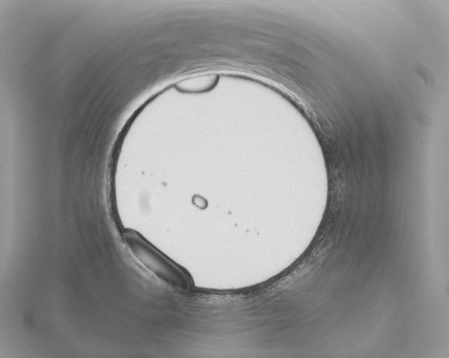 X0000115441518200912020934