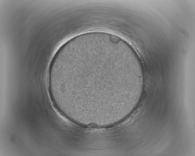 X0000115441519200912020934