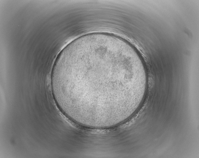 X0000115441521200912020934