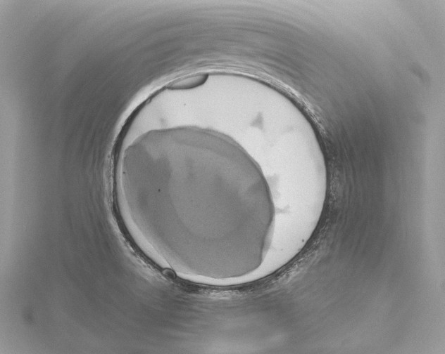 X0000115441522200912020934