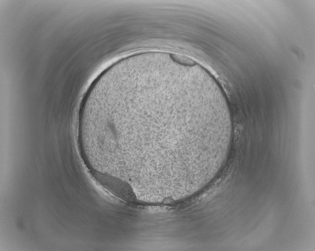 X0000115441523200912020934