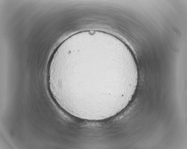 X0000115441525200912020934