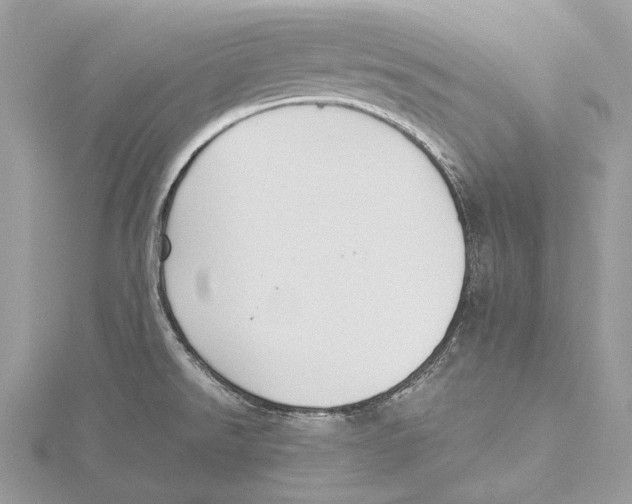 X0000115441526200912020934