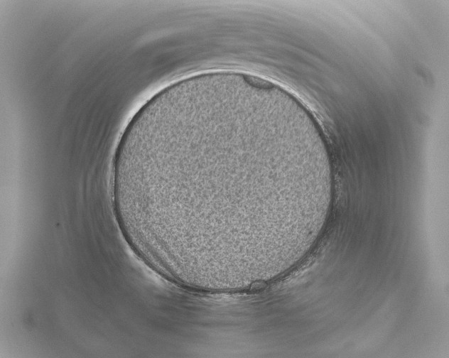 X0000115441527200912020934