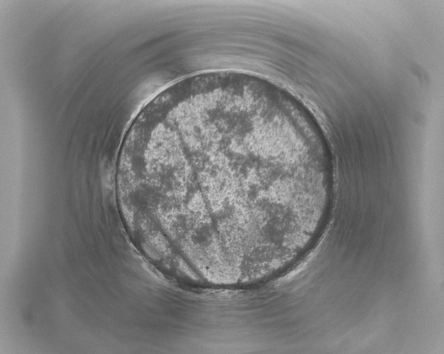 X0000115441529200912020934