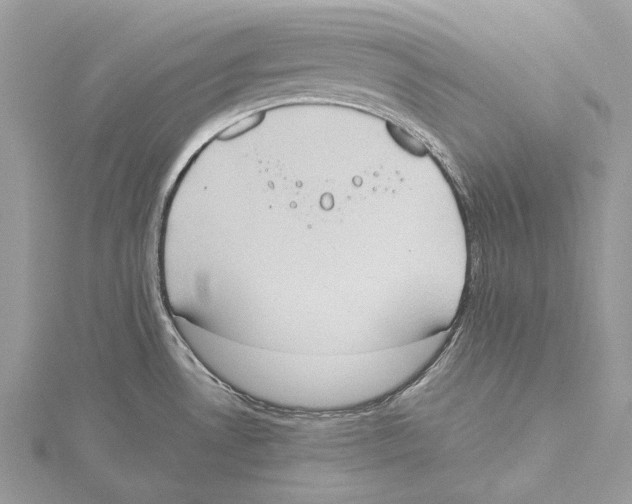 X0000115441530200912020934