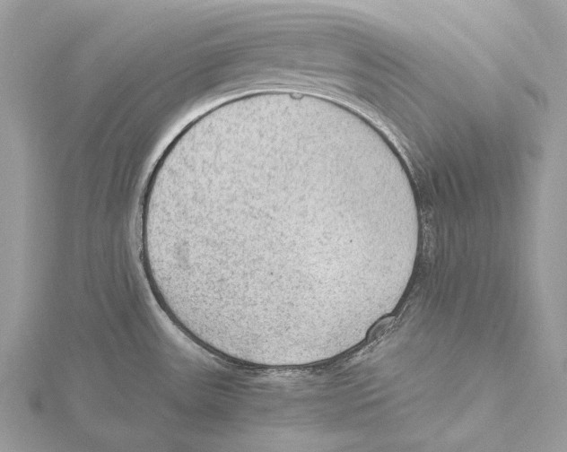 X0000115441531200912020934