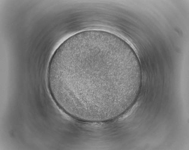 X0000115441533200912020934